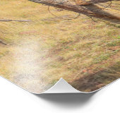 Impression Photo Imprimante (Coin)