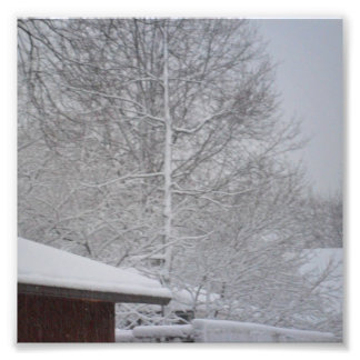 IMPRESSION PHOTO IMPRIMANTES PHOTOS PERSONNALISÉES 6 X6