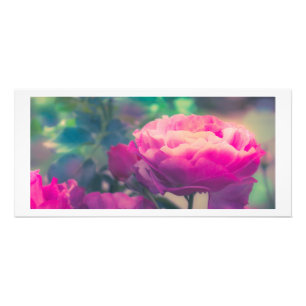 Impression Photo Imprimantes Roses violettes