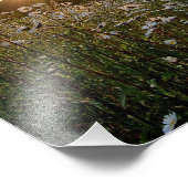 Impression Photo IMPRIMANTES ~ "Un coucher de soleil marquant" (Coin)