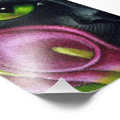 IMPRESSION PHOTO IMPRIMER CHAT NOIR MAGENTA CALLA LILY (Coin)