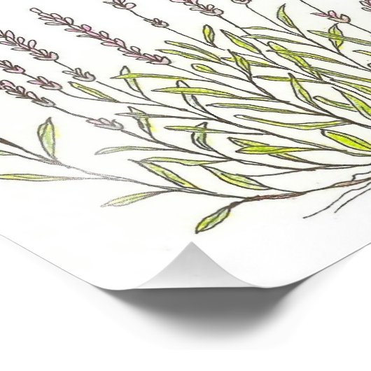 Impression Photo Imprimer l'esquisse Lavender (Coin)