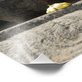 Impression Photo Inde, Mangalore, Karkala. Religion de Jains (Coin)