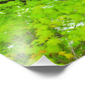 Impression Photo Indian Run Falls, Dublin, Ohio (Coin)