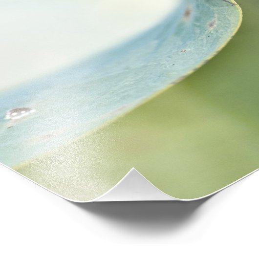 Impression Photo Inspiration des libellules (Coin)