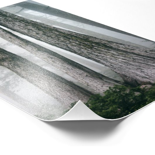 Impression Photo Invoquer la forêt (Coin)