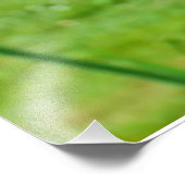 Impression Photo Iris à poils (Coin)