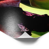 Impression Photo Iris - Bourgogne / rouge (Coin)