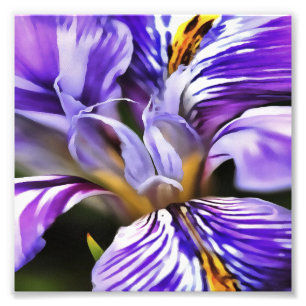 Impression Photo Iris In Violet Lilac and Purple Botanical Art
