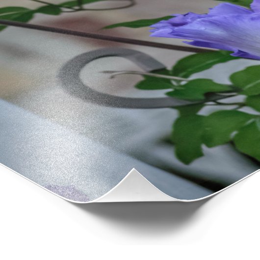 Impression photo Iris violet (Coin)