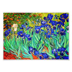 Impression Photo Irises de Vincent Van Gogh