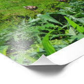 Impression Photo Irish Cottage Home (Coin)