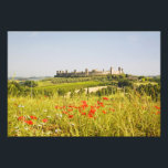 Impression Photo Italie, Monteriggioni, Field View de<br><div class="desc">Italie,  Monteriggioni,  Vue de terrain de Monteriggioni avec des tourbières et des vignes � Terry Eggers / DanitaDelimont.com</div>