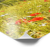 Impression Photo Italie, Monteriggioni, Field View de (Coin)