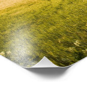 Impression Photo Italie, Toscane, Villa toscane proche de Harvest. (Coin)