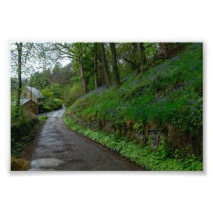 Impression Photo Jacinthes des bois sur Eastwood Lane