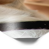 IMPRESSION PHOTO JACK RUSSELL TERRIER CHIEN (Coin)