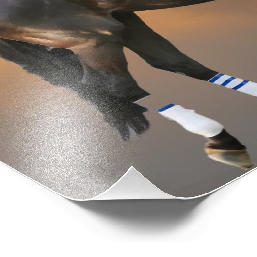 Impression Photo Jackson Heights cheval - Dylan Davis jockey (Coin)