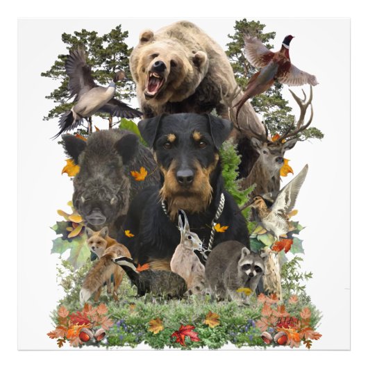 Impression Photo Jagdterrier, Terrier de chasse allemand (Devant)