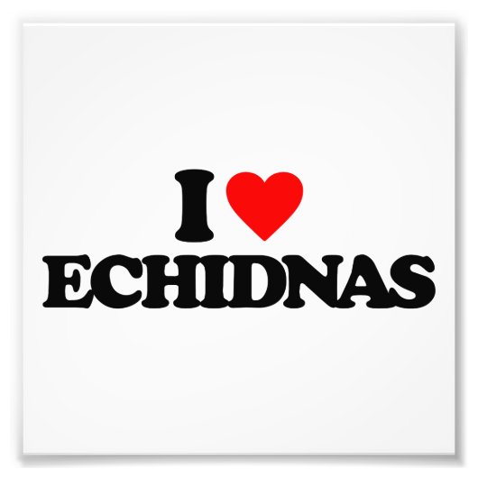 IMPRESSION PHOTO J'AIME LES ECHIDNAS (Devant)