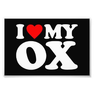IMPRESSION PHOTO J'AIME MON BOEUF