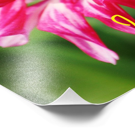 Impression Photo J'aime votre nom (Coin)