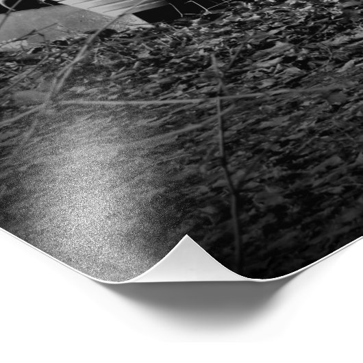 Impression Photo "Jalopied" (Coin)