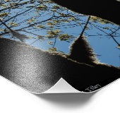 IMPRESSION PHOTO JAMAIS (Coin)