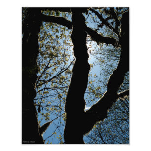 IMPRESSION PHOTO JAMAIS