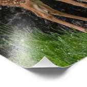 Impression Photo Jambes agitées (Coin)