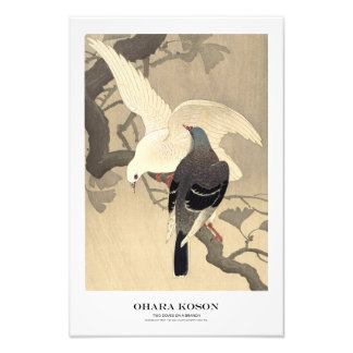 Impression Photo Japanese Art Print - Ohara Koson - Doves