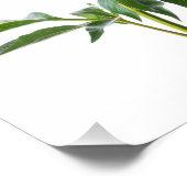 Impression Photo Japanese Peony (Coin)