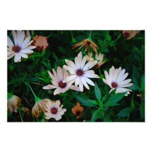 Impression Photo Jardin
