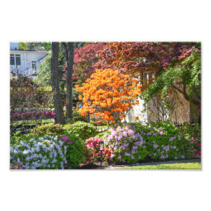 Impression Photo Jardin Azalea Trail à Tyler, Texas