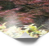 Impression Photo Jardin botanique japonais coloré (Coin)