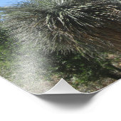 Impression Photo Jardin de Cactus (Coin)