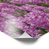 Impression Photo Jardin des tulipes, des jonquilles et des jacinthe (Coin)