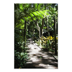 Impression Photo Jardin du géant endormi, Fidji