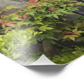 Impression Photo Jardin familial de Bao, Huangshan, Chine. (Coin)