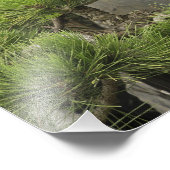 Impression Photo Jardin familial de Bao, Huangshan, Chine. 2 (Coin)