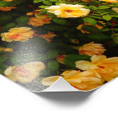 Impression Photo Jardin fleuri (Coin)