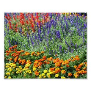 Impression Photo Jardin fleuri coloré 10x8 Floral