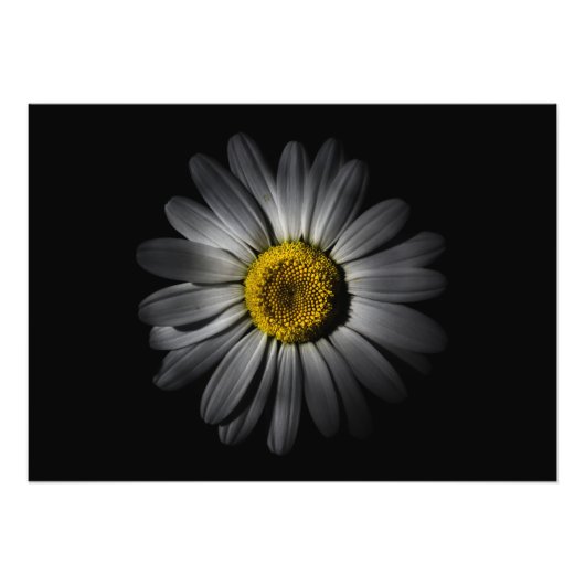 Impression Photo Jardin Fleurs 52 Couleur Version (Devant)