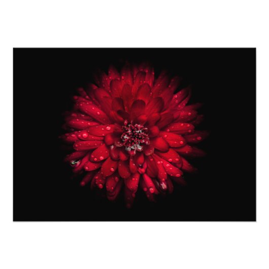 Impression Photo Jardin Fleurs No 45 Version couleur (Devant)