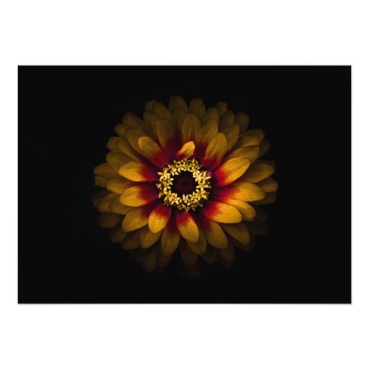 Impression Photo Jardin Fleurs No 69 Version couleur (Devant)