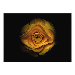 Impression Photo Jardin Fleurs No 74 Version couleur