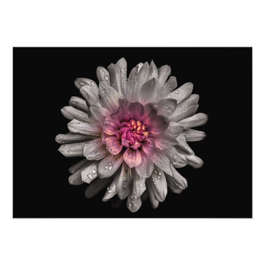 Impression Photo Jardin Fleurs No 91 Version couleur (Devant)