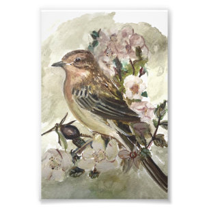 Impression Photo Jaune Jardin de Wagard imprimé aquarelle d'oiseau