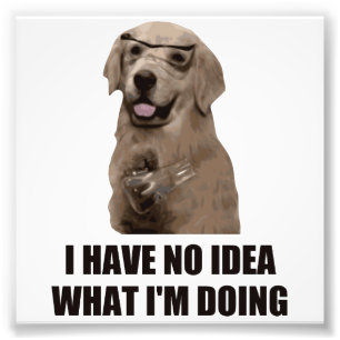 Impression Photo Je n'ai aucune idée ce que je fais