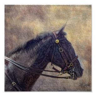 Impression Photo Je remarque